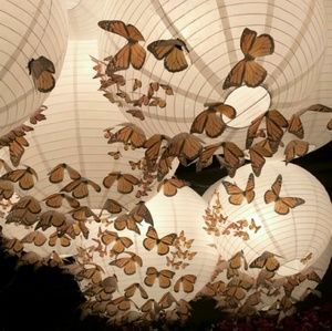 Meet your Posher, Valeria